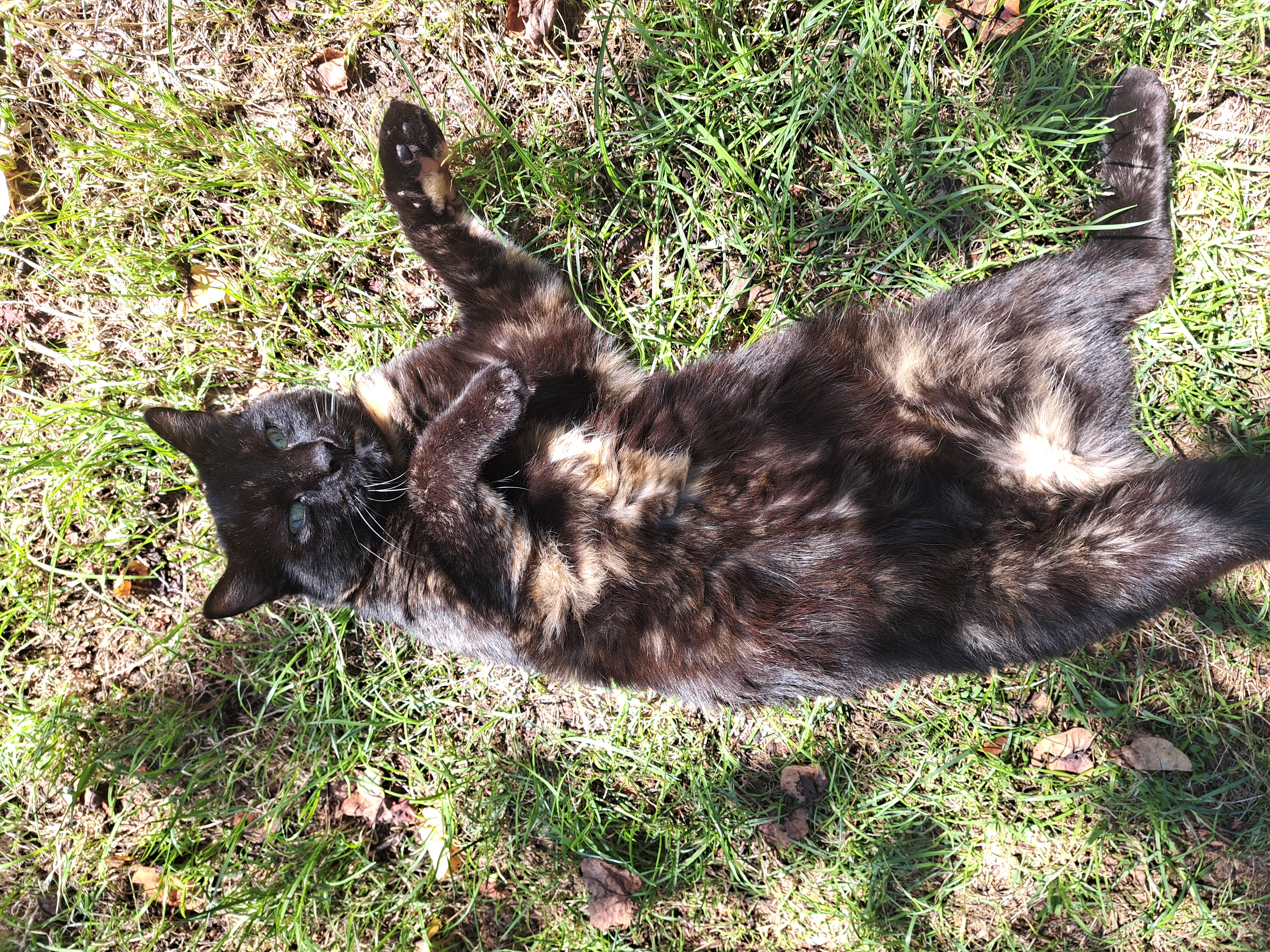Foto von My sweet Besti